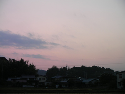 1004 001.JPG